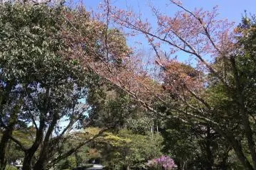Garden entrance to Naiku