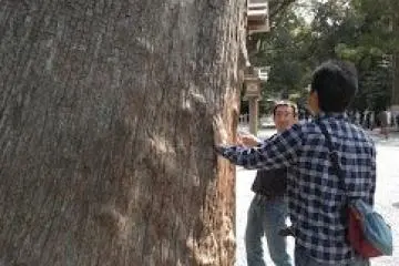 Tree prayers at Geku
