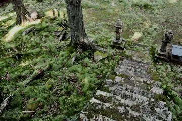 This dream-like place was partly hidden and fully covered in moss