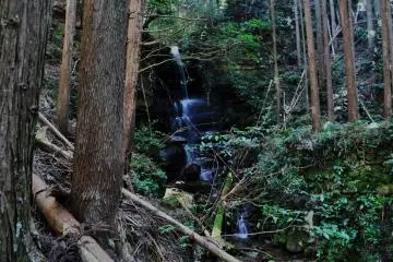 Lots of rivers and waterfalls can be found in this area