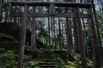 We found several religious items as well, like this sacred gate