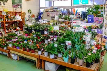 Homac has a great range of garden accessories