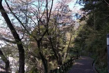 Pink frosting path 