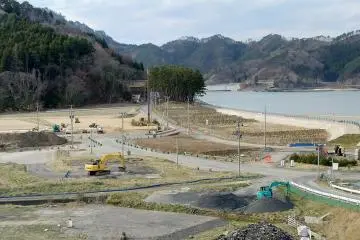 The newly planted pine grove in front of Horaikan Inn