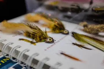 There are various new flies lying around the store