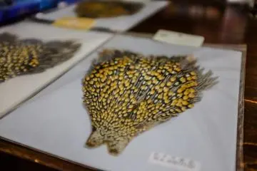 Unique fly tying materials sourced from around the world