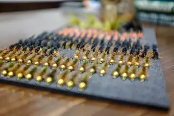 A new batch of flies