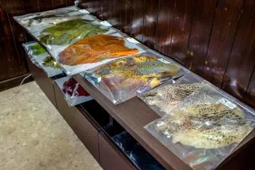 Only the best quality Pheasant fly materials