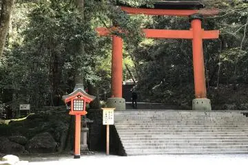 There are many peaceful spots in the park, one graced by mature trees