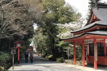 Whether you are five or eighty five, a gentle stroll in springtime is a thing of beauty