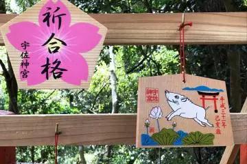 A cherry blossom shaped prayer board, in the year of the Boar