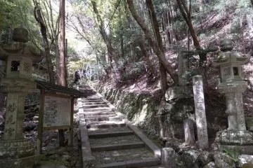So do I take this trail?