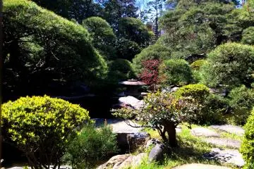 Gaze on the lush garden and listen to the trickle of the waterfall