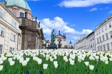 Sapporo, Otaru and Hakodate are a blend of European, American and Japanese influences (Photo: <a href="https://stock.adobe.com/au/images/tulips-building/56208274" target="_blank" rel="noreferrer noopener nofollow">Dimakp</a> / stock.adobe.com)