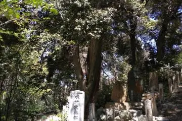 Heroes ground