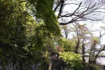 Path going up to the gravesites