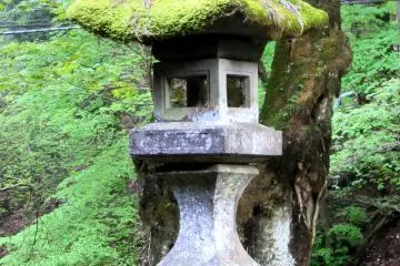 Another moss covered lantern, Nikko