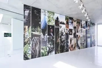 Shared Roots, Vik Muniz