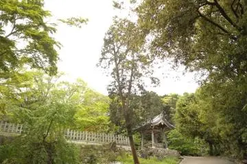 Along the way