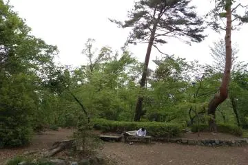 Peace in the park
