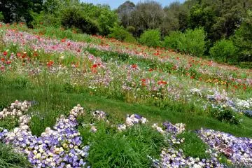 A beautiful scene