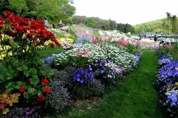So many different varieties of flowers