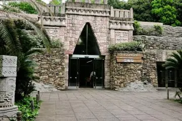 The Amazon Center