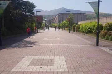 Great walks with great views around the university.