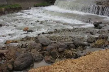 Mountain river in Yudanaka, Nagano