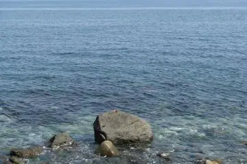 Sagami Bay, Pacific Ocean