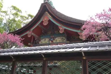 Painted side view 