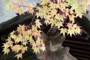 Nature is a large part of any temple