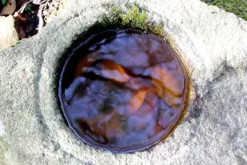 Stone in a garden