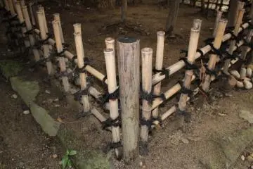Bamboo fence