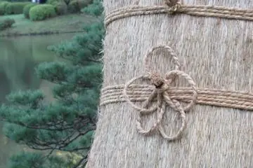 The beauty of any material is highlighted 