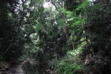 Todoroki Valley in Setagaya Ward