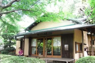 Todoroki-Valley (Photo: Natsuko)