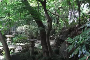 Todoroki-Valley (Photo: Natsuko)