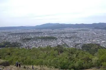 People picking leaves on the slopes 