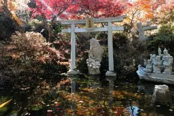 Ogon Pond behind the ropeway station