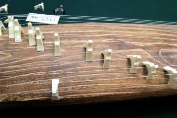 Koto close-up
