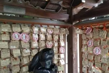 Prayers to a black bunny 