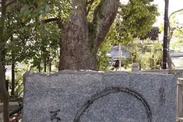 Circle of life?  