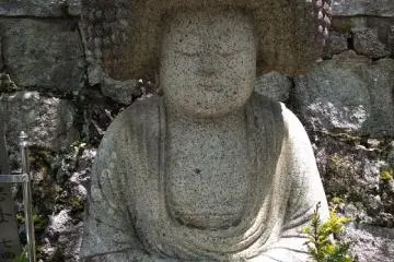 Beehive beauty