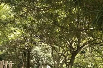 At Kurodani