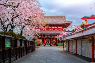 How to Visit a Temple