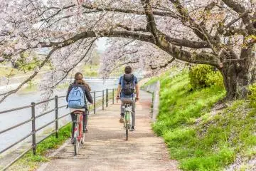 How to Rent a Bike in Japan