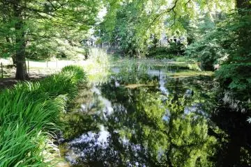 Sapporo Botanical Garden