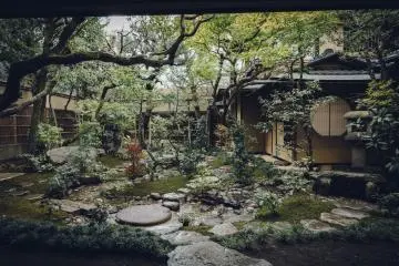 Japanese garden