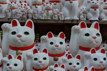 Hello, Kitty!